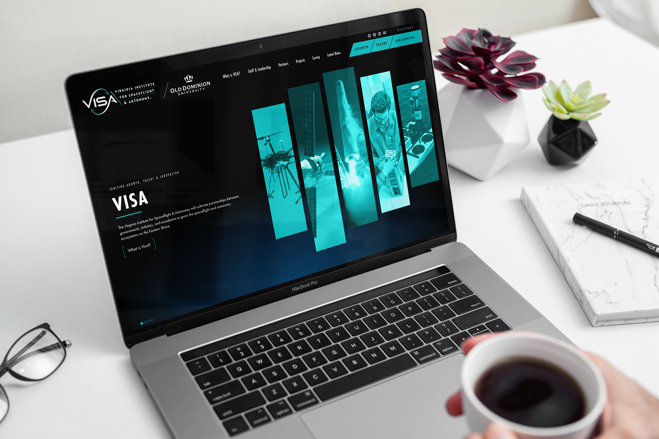 VISA Website Homepage – Web programming in Virginia Beach, VA